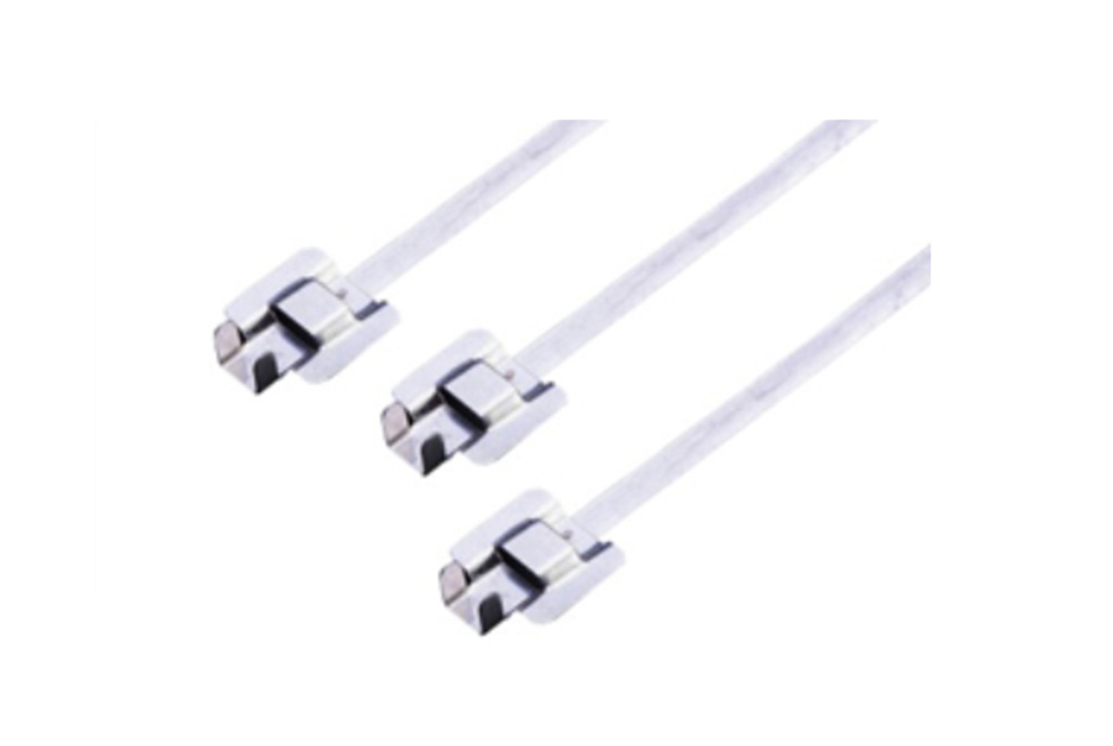 Naked Releaseable Type Sparayed Stainless Steel Cable Tie